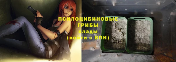 стаф Аркадак