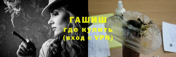 spice Инта