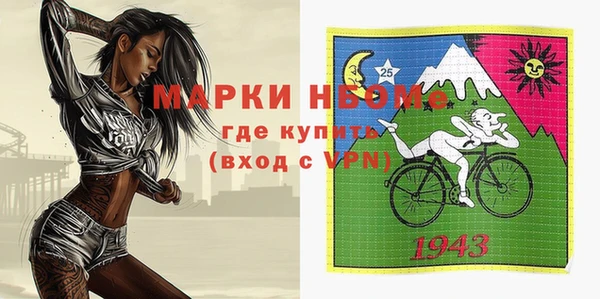 стаф Аркадак