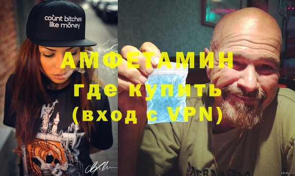 стаф Аркадак