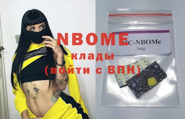 стаф Аркадак