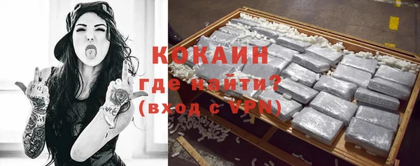 стаф Аркадак