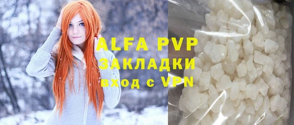 стаф Аркадак