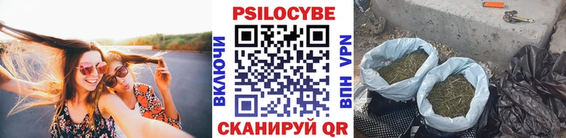 цены наркотик  Саяногорск  shop официальный сайт  Галлюциногенные грибы Magic Shrooms 